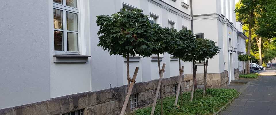 Rückseitige Ansicht des Amtsgerichts mit Kugelbäumen